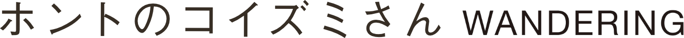 ホントのコイズミさん WANDERING 小泉今日子